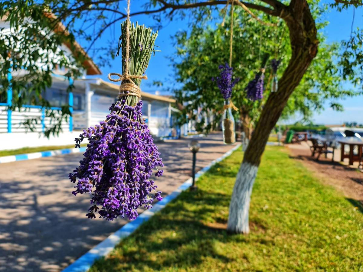 Casa Pescarilor Ξενοδοχείο Lunca  Εξωτερικό φωτογραφία